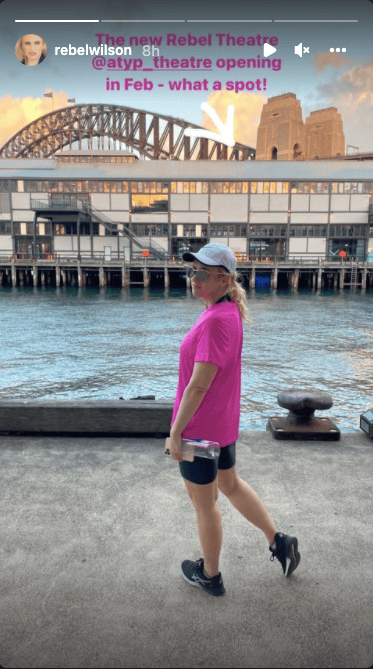 Rebel Wilson posing.