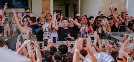 Crowd of people partying.