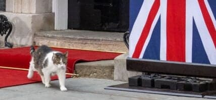 Larry The Cat In Downing Street
