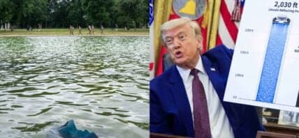 Reflecting Pool, Donald Trump photo collage