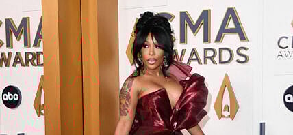 K. Michelle