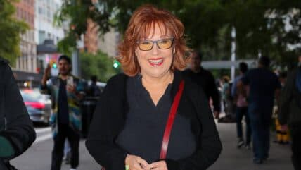 Joy Behar, The view