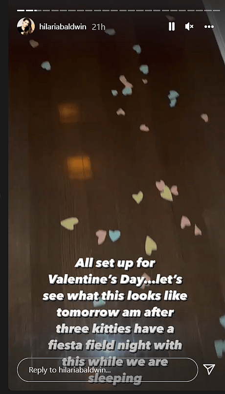 Hilaria Baldwin IG Story