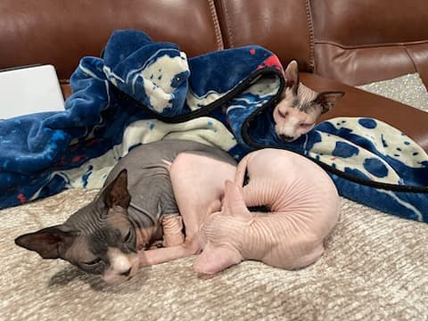 Nudacris, Khaleesi and Boris