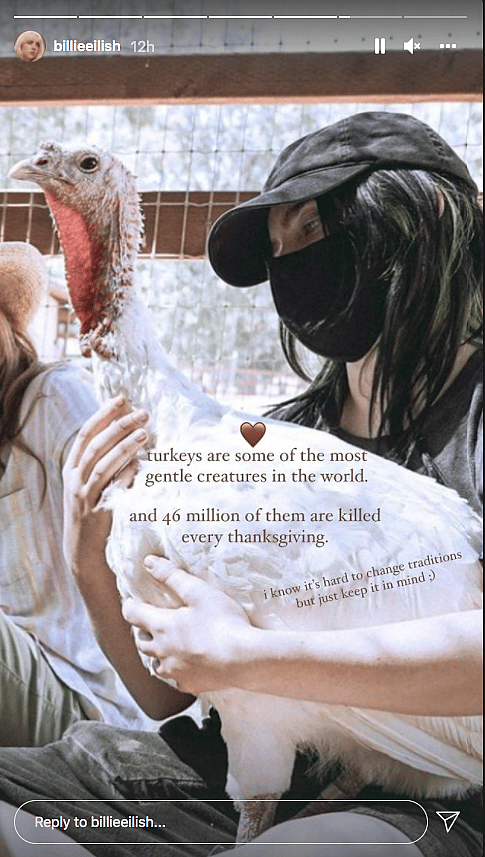 Billie Eilish's post on her Instagram story