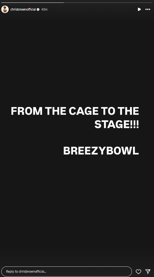 Chris Brown's post after his release on bail