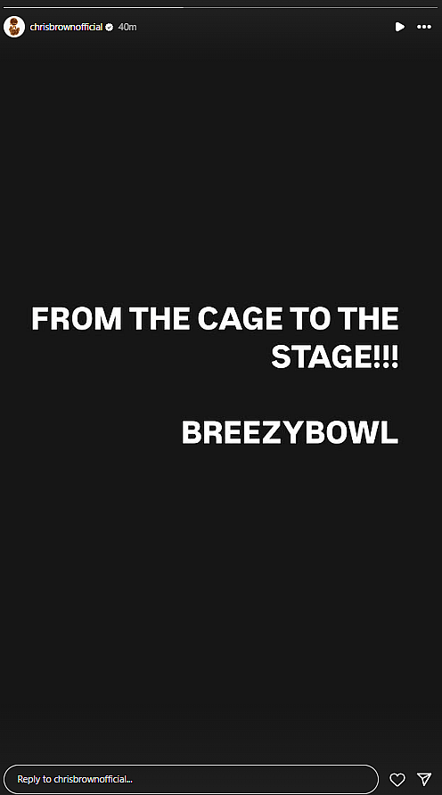 Chris Brown's post after his release on bail