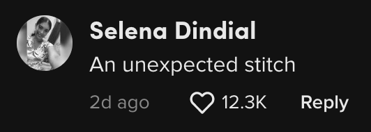 Selena Gomez comment on social media post about UTI PSA