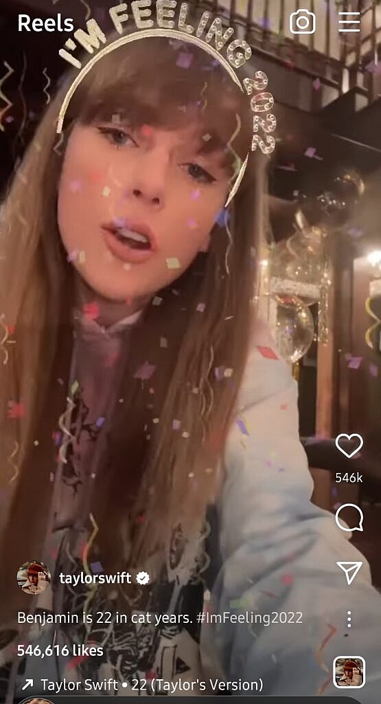 Taylor Swift and cat Benjamin Button