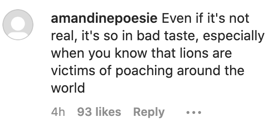 Social media comment criticizing lion head fashion accessory as insensitive to endangered species