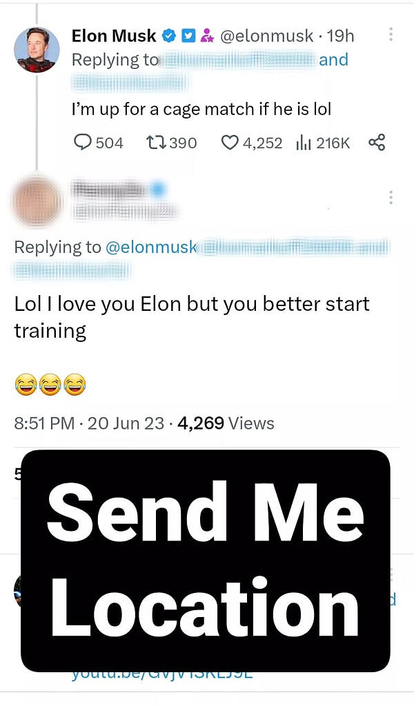 Mark Zuckerberg and Elon Musk gear up for cage fight