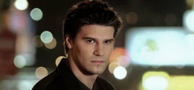David Boreanaz as Angel