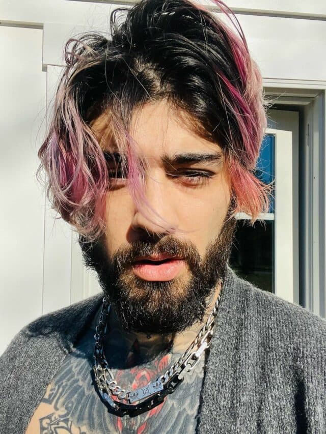 Zayn Malik revs in new music