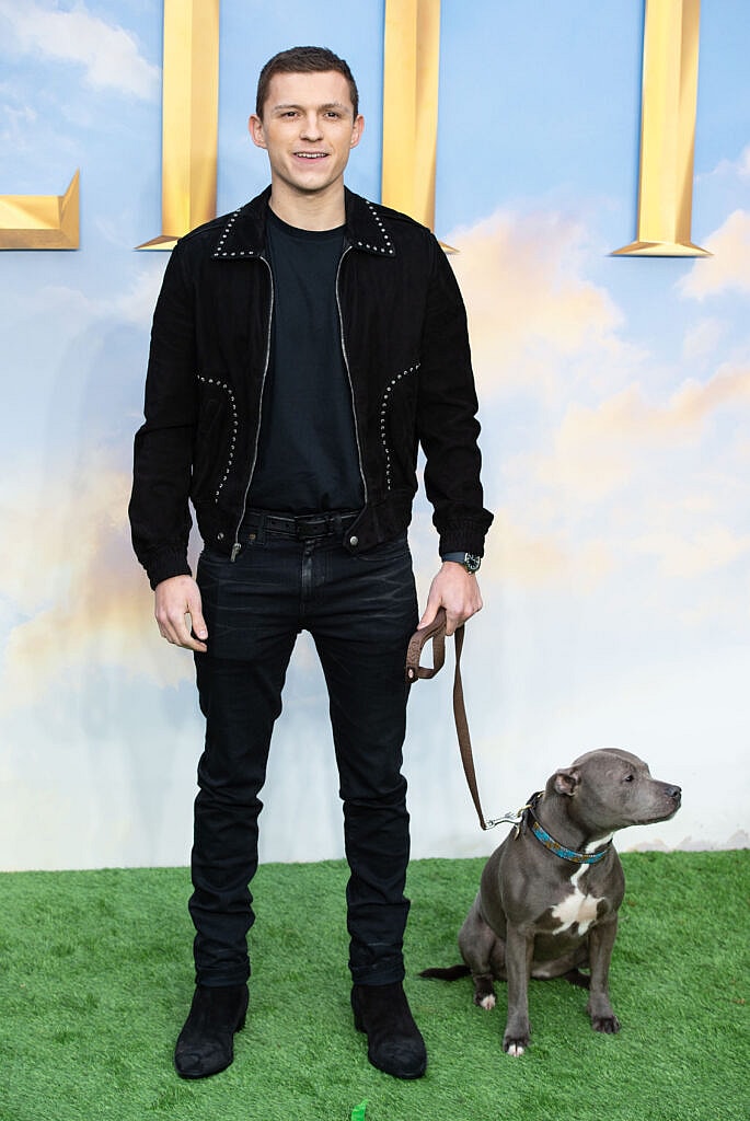 Dolittle Special Screening London