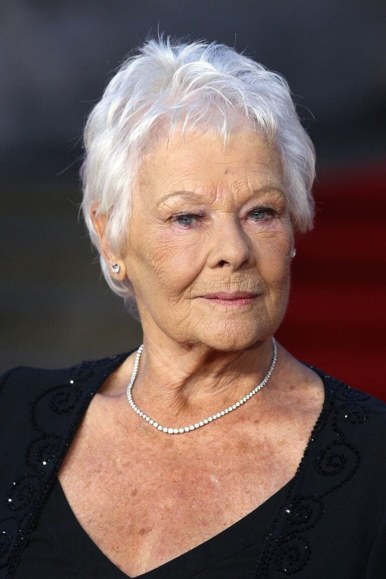 Dame Judi Dench