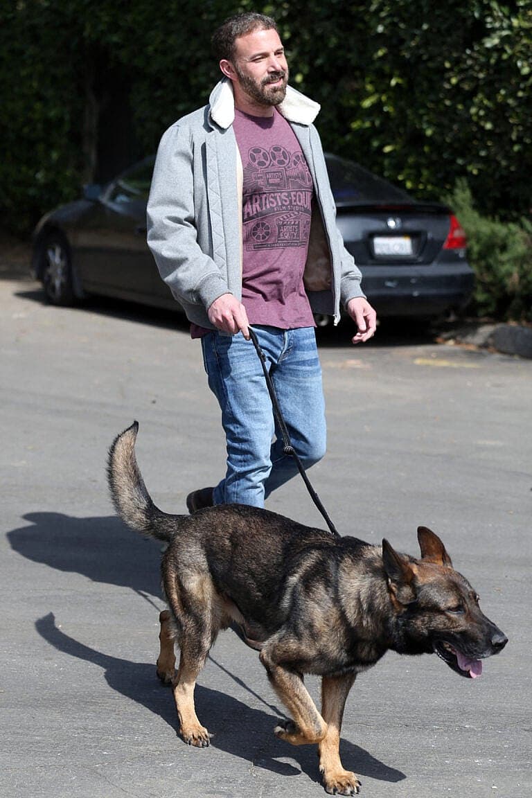 Ben Affleck is seen taking his dogs for a walk
