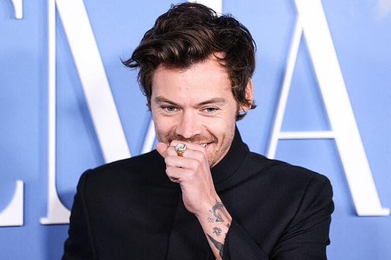 Harry Styles' Stalker Arrested After Expressing ‘Sexual Urges’ & 'Hand-Delivering Letters'