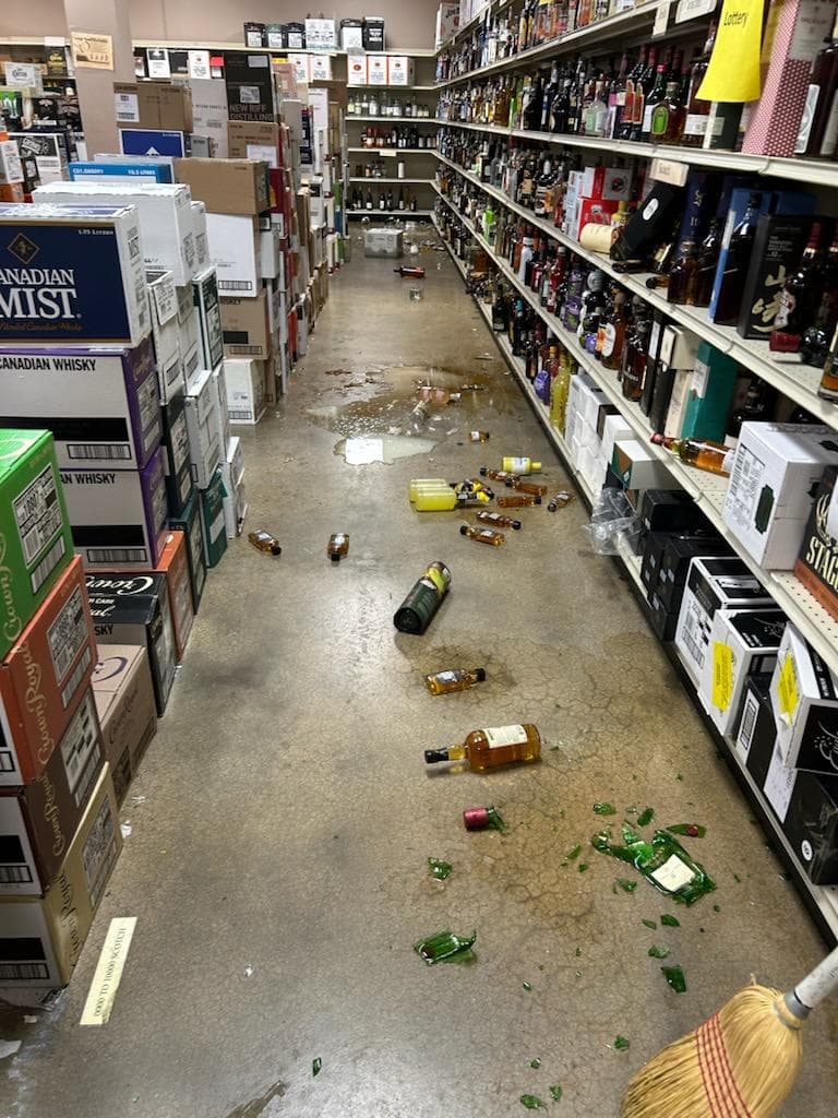 chaos caused by drunken raccoon