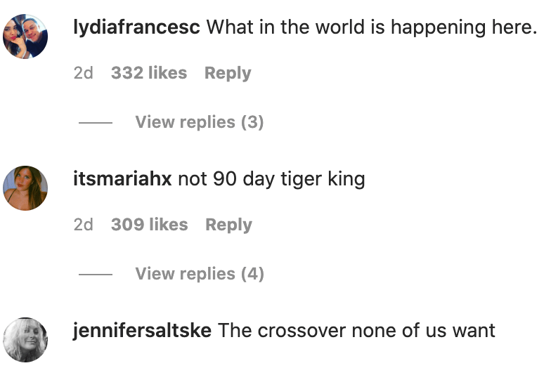 Instagram comments discussing Joe Exotic and reality TV crossover speculation