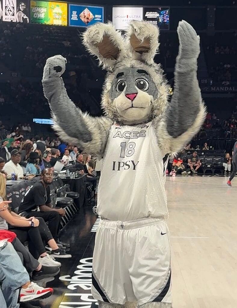 Las Vegas Aces