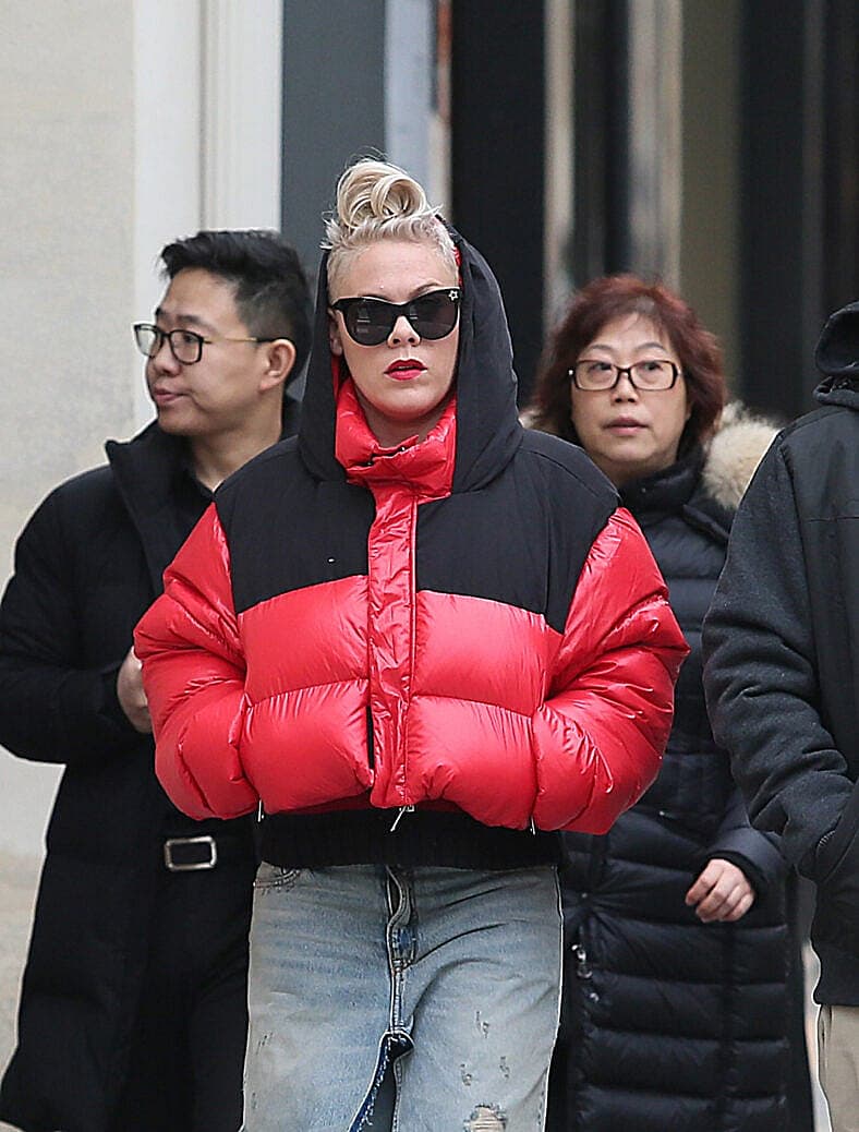Pink and Carey Hart in Paris