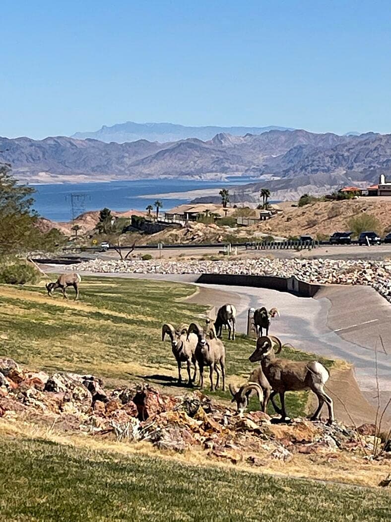 Lake Mead