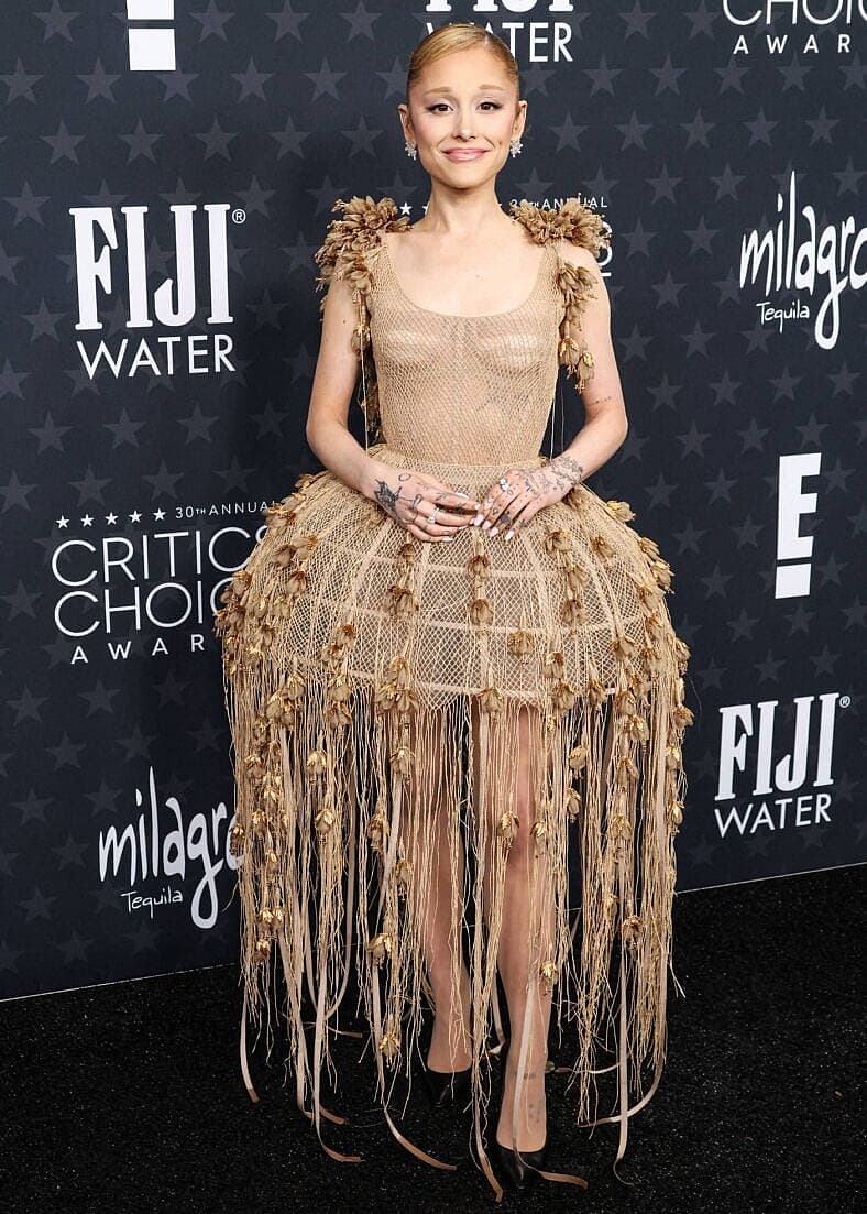 Ariana Grande on the red carpet