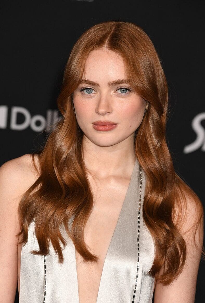 Spider-Man: Brand New Day Premiere