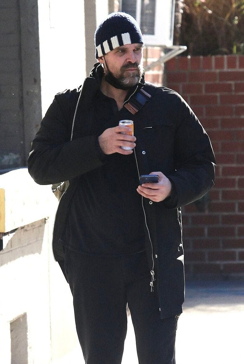 David Harbour in public