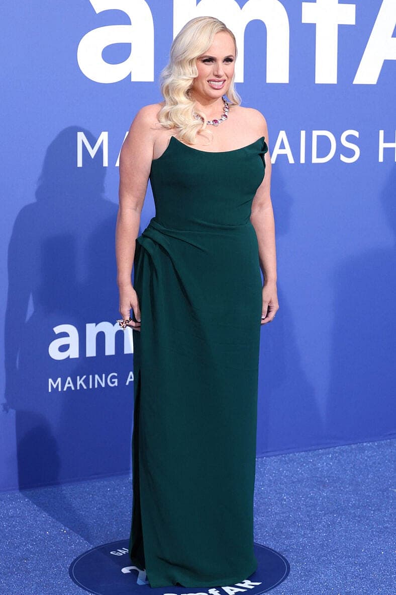 Rebel Wilson on the red carpet