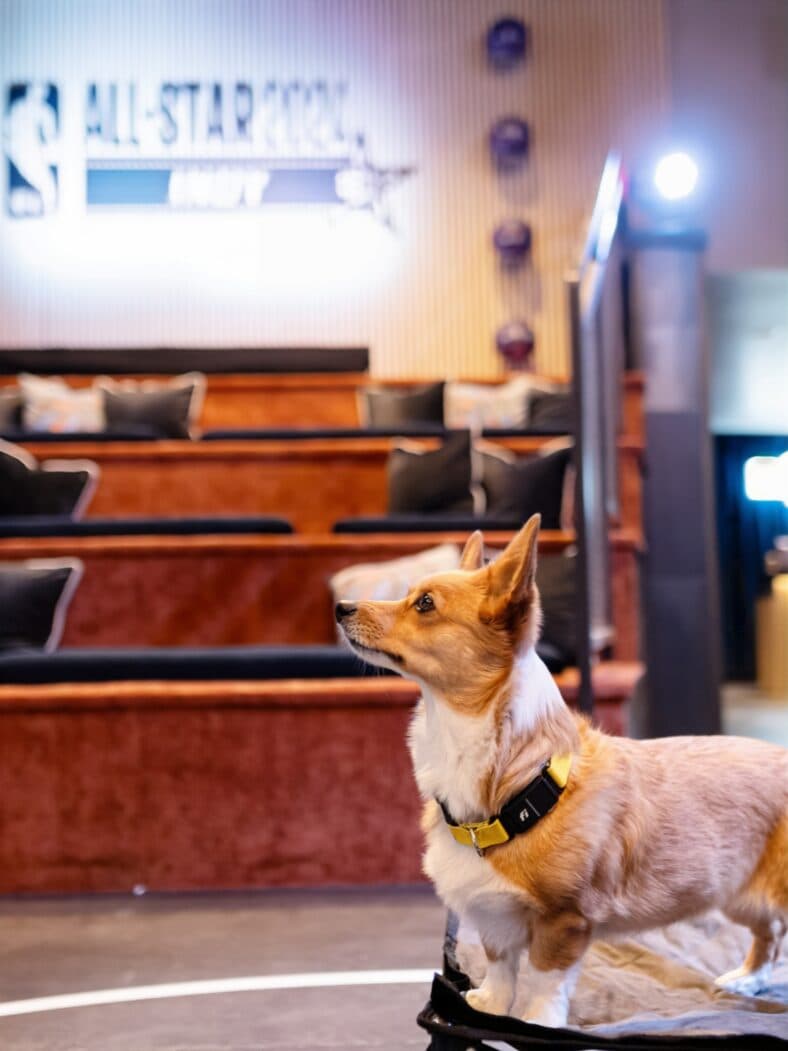 Aircorg