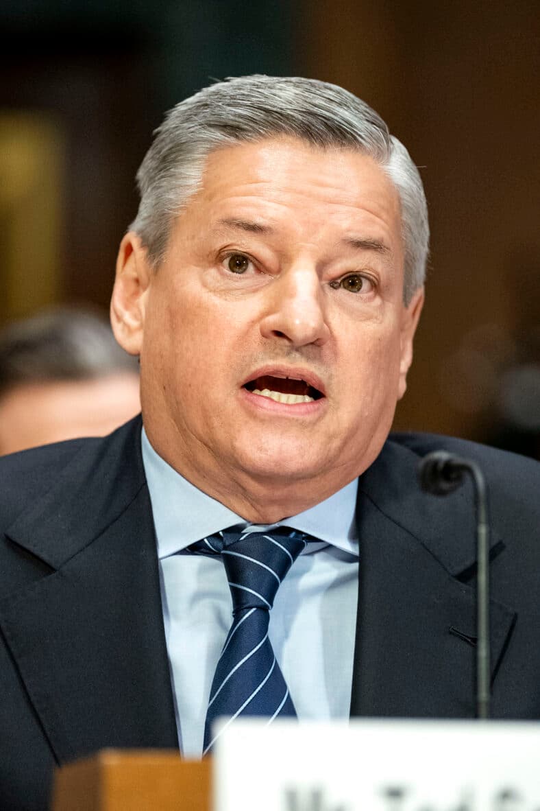 Co-CEO of Netflix Ted Sarandos