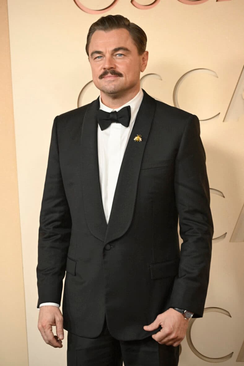 Leonardo DiCaprio on the red carpet