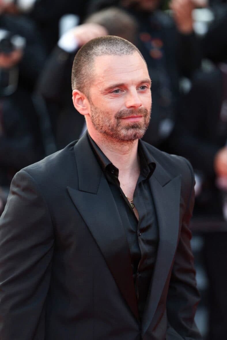 Sebastian Stan wearing black