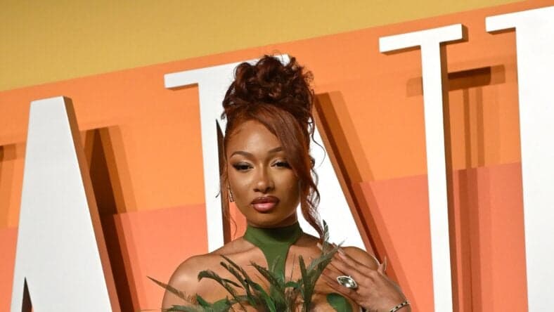 Megan Thee Stallion on the red carpet