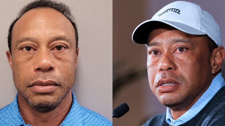 A photo collage Tiger Woods' mugshot