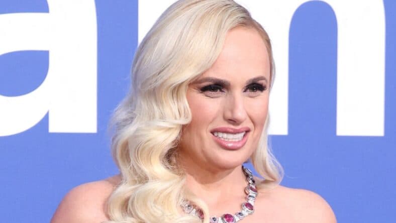 Rebel Wilson on the red carpet