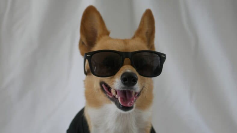 Aircorg