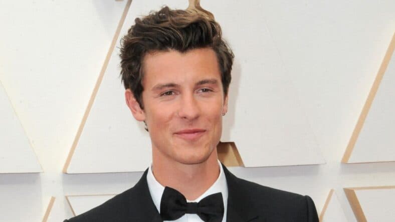 Shawn Mendes smiling
