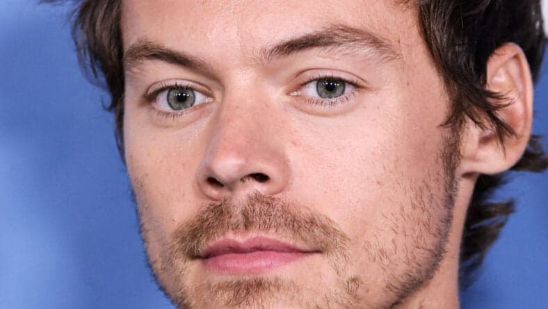 Harry Styles at Los Angeles Premiere Of Amazon Prime Video's 'My Policeman'