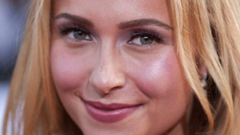 Hayden Panettiere posing on the red carpet.
