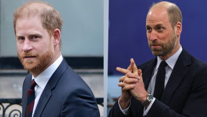 A side-by-side collage of Prince William and Prince Harry
