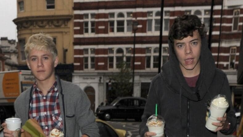 Niall Horan and Harry Styles