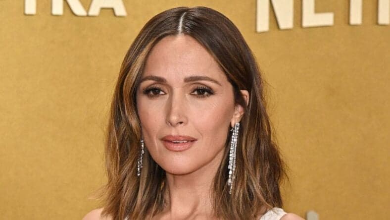 Rose Byrne on the red carpet