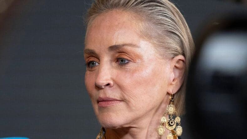 Sharon Stone At The Photocall For The Elle Style Awards 2026 At The Casino De Madrid