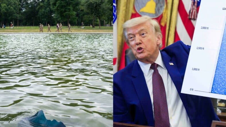 Reflecting Pool, Donald Trump photo collage