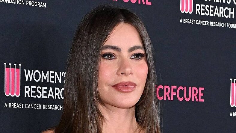 Sofia Vergara on the red carpet