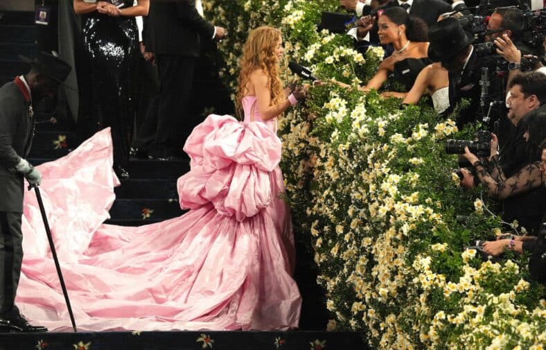 The 2025 Met Gala
