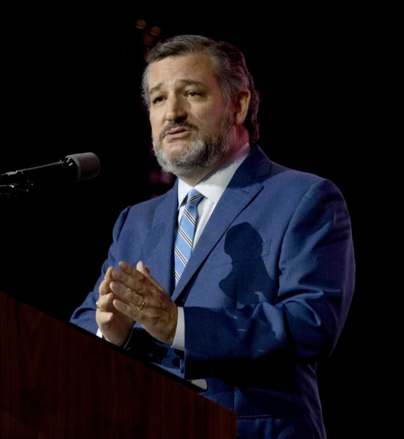 Ted Cruz speaks during a convention