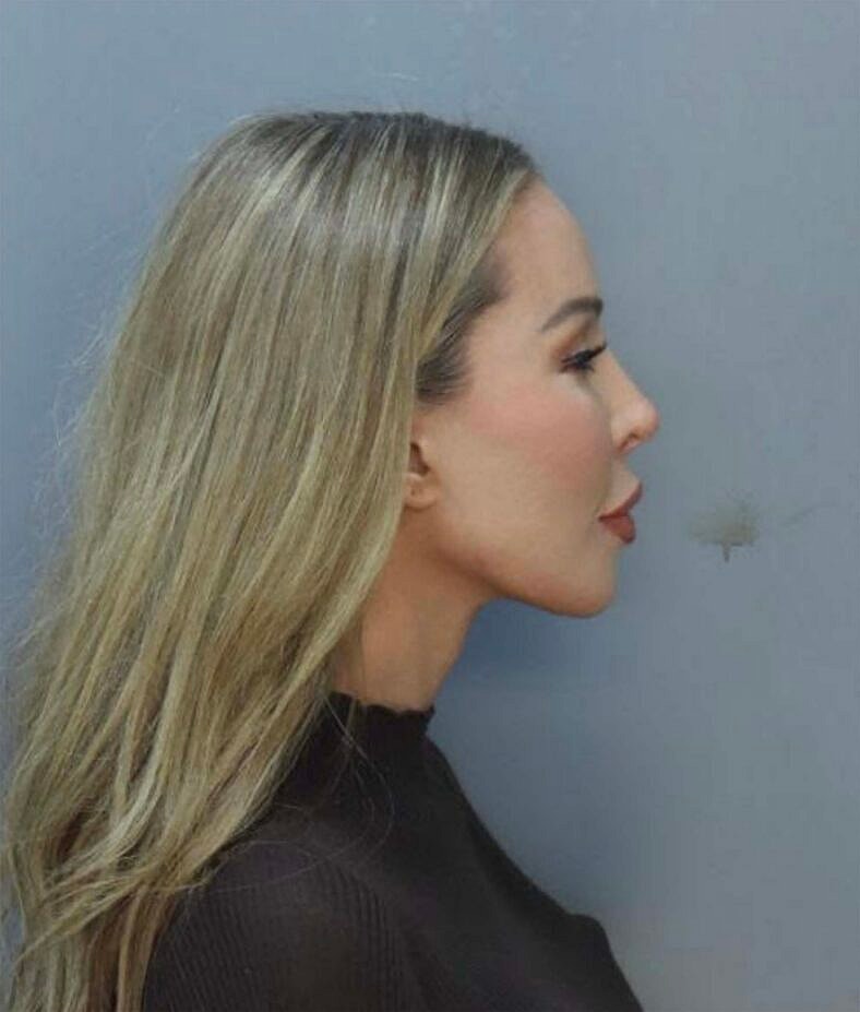 The Real Housewives of Miami Lisa Hochstein Booking photo